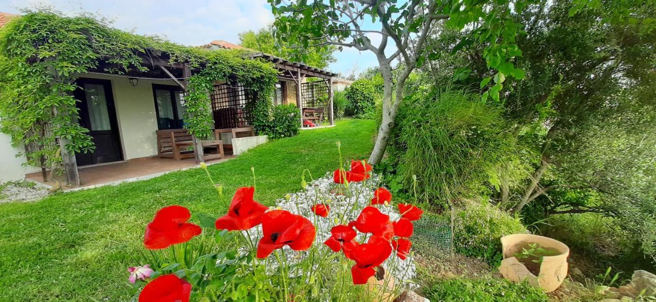 The Gallipoli Houses Eceabat Exteriér fotografie